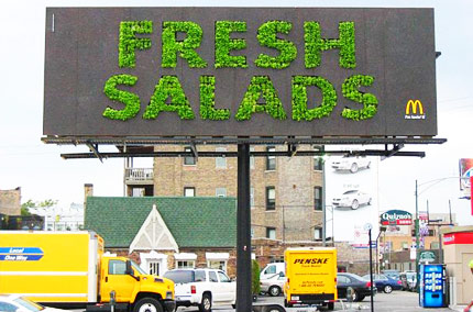 fresh salads